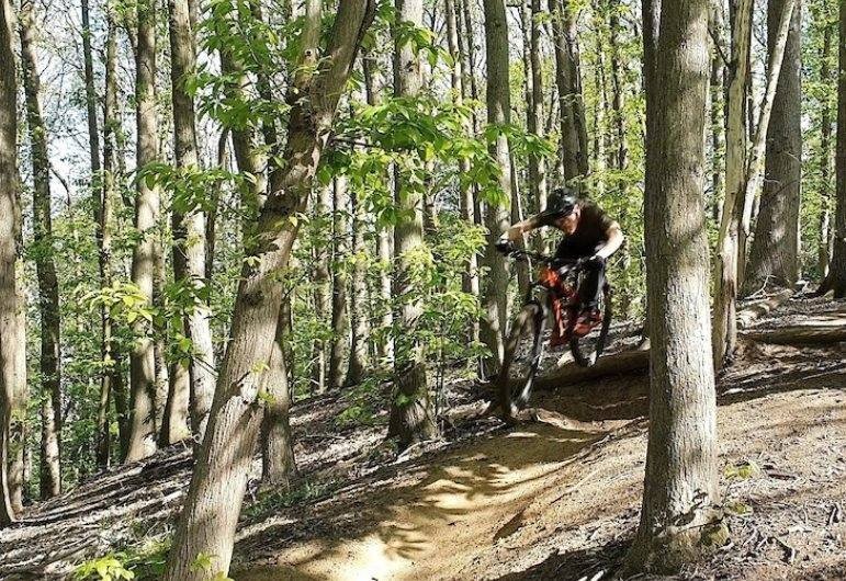 Mountain biking through the forest